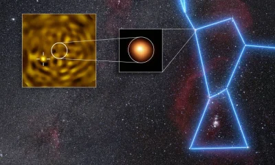 Astrônomos confirmam que a estrela Betelgeuse não está sozinha em seu sistema
