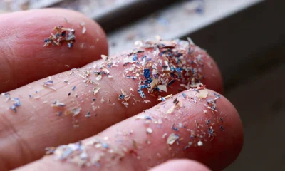 Compostos em Plásticos e Cosméticos Podem Desregular Hormônios, Alerta Ciência