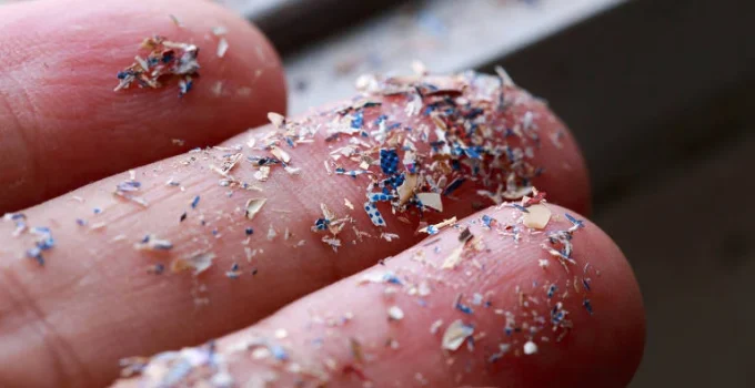 Compostos em Plásticos e Cosméticos Podem Desregular Hormônios, Alerta Ciência Compostos em Plásticos e Cosméticos Podem Desregular Hormônios, Alerta Ciência