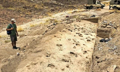 Pegadas de 1,4 milhão de anos revelam detalhes inéditos sobre espécie humana primitiva no Quênia