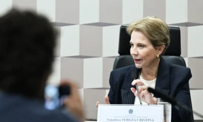 Tereza Cristina confirma convite para vice de Flávio Bolsonaro e adia definição