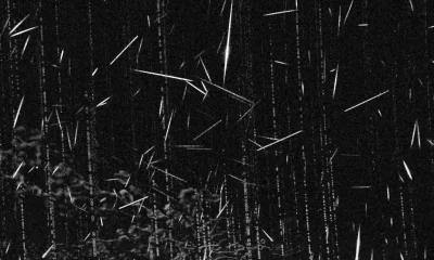 Chuva de meteoros Delta Aquáridas do Sul ilumina o céu brasileiro