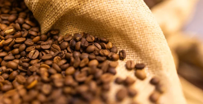 Cafeicultura Brasileira Busca Adaptação Climática e Sustentabilidade