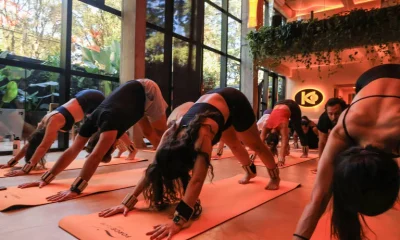 Yoga: Descubra a modalidade ideal para você entre calor, força e autoconhecimento