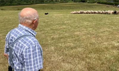 Agricultor viveu anos com parasita sem saber, até dor insuportável alertar sobre cistos