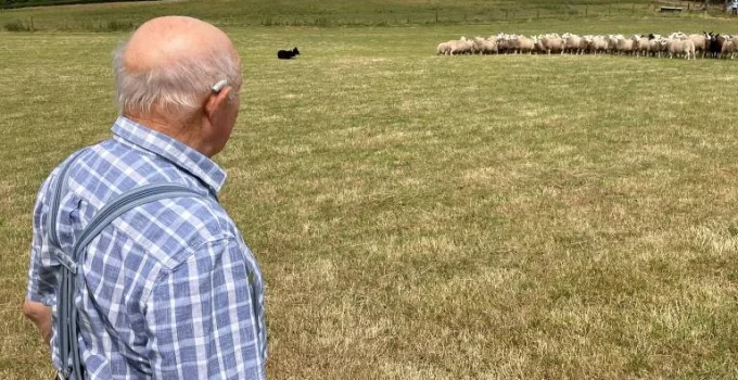 Agricultor viveu anos com parasita sem saber, até dor insuportável alertar sobre cistos