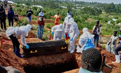 Testes de tratamentos para nova cepa do Ebola avançam com resultados promissores, diz OMS