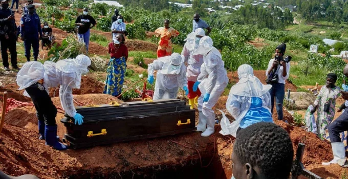 Testes de tratamentos para nova cepa do Ebola avançam com resultados promissores, diz OMS