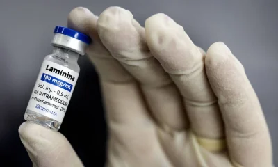 Estudo piloto sobre polilaminina em lesões medulares ainda não confirma eficácia