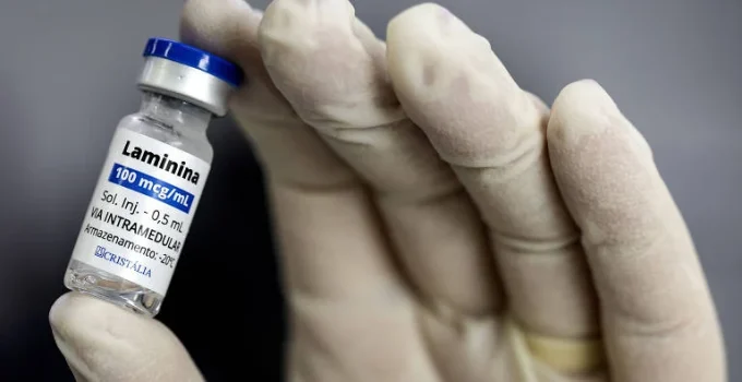 Estudo piloto sobre polilaminina em lesões medulares ainda não confirma eficácia
