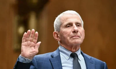 Fauci sob fogo: a batalha jurídica pela recusa em depor no Senado