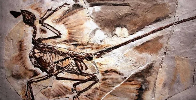 Por que não havia dinossauros minúsculos? A culpa pode ter sido dos mamíferos