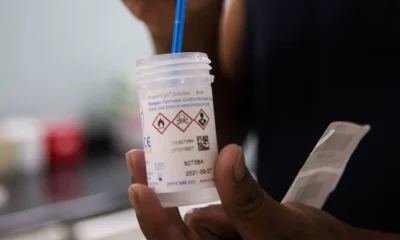 Sangue menstrual: Nova pesquisa aponta potencial para detecção de HPV em absorventes