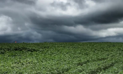 Paraná e Santa Catarina em alerta: risco de temporais persiste após ciclone