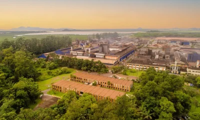 De Colônia a Potência: Os 500 Anos que Moldaram a Economia de Santa Catarina