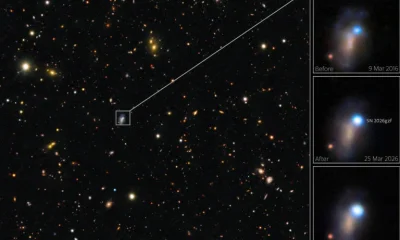 Astrônomos testemunham rara 'emergência da onda de choque' na morte de estrela gigante