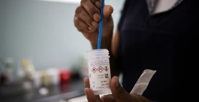 Rastreamento do Câncer de Colo de Útero: Novas Opções e Recomendações Médicas