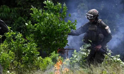 EUA e Colômbia estreitam laços em nova ofensiva conjunta contra o narcotráfico