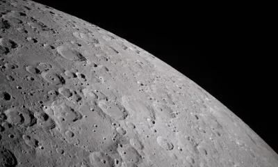 China planeja usar cães-robôs para auxiliar na construção de base lunar