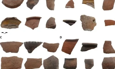 Cerâmica antiga revela desigualdade social e alimentar no litoral catarinense do início do século XX