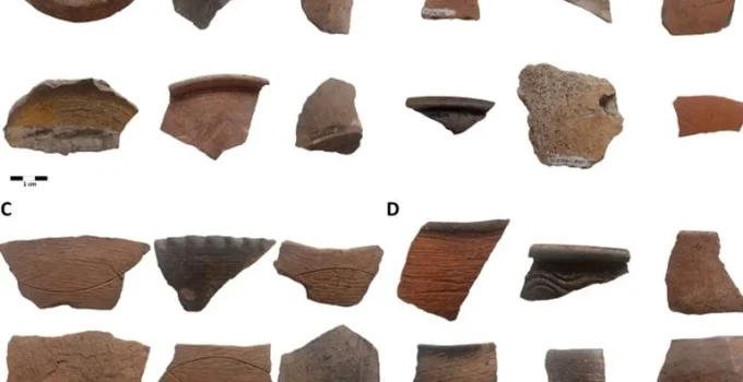 Cerâmica antiga revela desigualdade social e alimentar no litoral catarinense do início do século XX Cerâmica antiga revela desigualdade social e alimentar no litoral catarinense do início do século XX