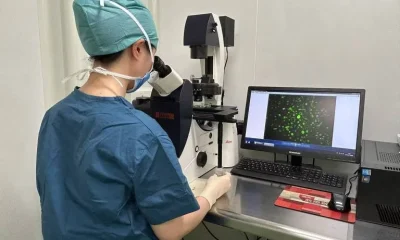 Congelamento de tecido ovariano: a nova fronteira para preservar a fertilidade e adiar a menopausa