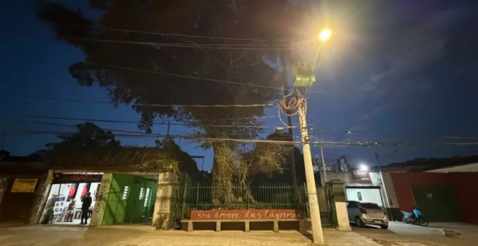 Figueira das Lágrimas: A Guardiã Centenária da Estrada das Despedidas em São Paulo