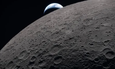 Fungos e bactérias podem sobreviver na Lua, mas sem proliferação, aponta estudo