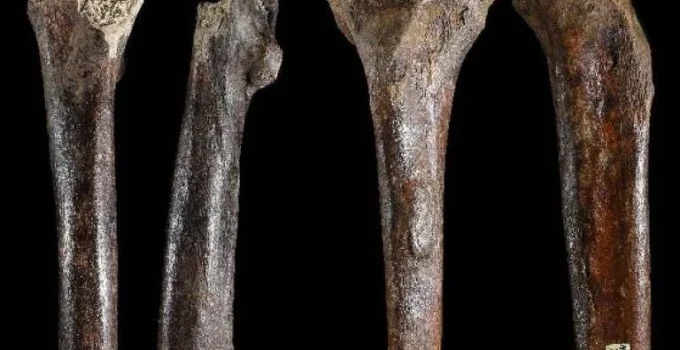 Ossos descobertos em Taiwan ampliam o mistério sobre os enigmáticos Denisovanos