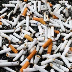 Exercício físico não anula danos do cigarro, alerta Inca