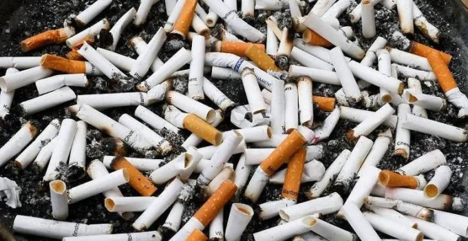 Exercício físico não anula danos do cigarro, alerta Inca