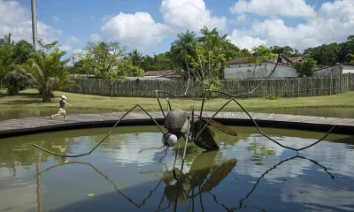 Belém intensifica guerra contra o mosquito da dengue com estratégias inovadoras e participação comunitária