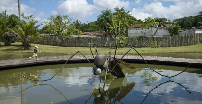 Belém intensifica guerra contra o mosquito da dengue com estratégias inovadoras e participação comunitária