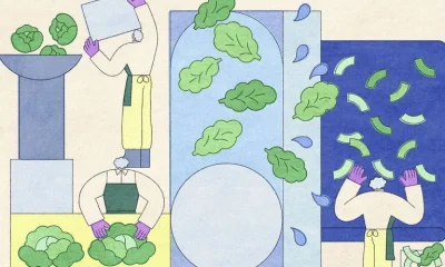 Salada pronta para consumo: Entenda os riscos ocultos por trás da praticidade
