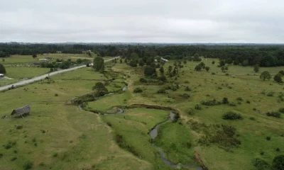 Debate reaquece sobre a idade de Monte Verde, sítio crucial para a história humana nas Américas
