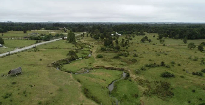 Debate reaquece sobre a idade de Monte Verde, sítio crucial para a história humana nas Américas