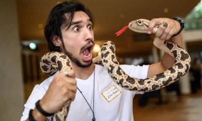 Brasileiro que pisou em jararacas mais de 40 mil vezes ganha Ig Nobel