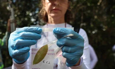 Expedição na Mata Atlântica em Busca de Microrganismos para Inovação Científica