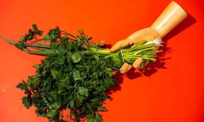 Vitamina K: Novo Estudo Sugere Ligação com Melhor Saúde Pulmonar