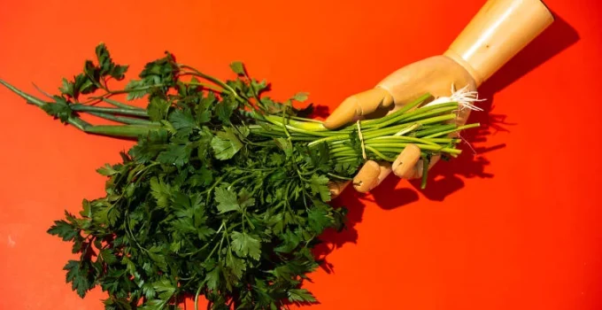 Vitamina K: Novo Estudo Sugere Ligação com Melhor Saúde Pulmonar