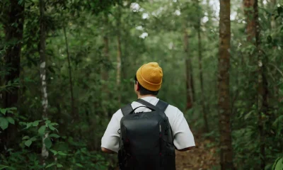 A Natureza Como Refúgio: Ciência Explica Por Que o Contato com o Verde Alivia Estresse e Melhora o Foco