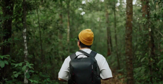 A Natureza Como Refúgio: Ciência Explica Por Que o Contato com o Verde Alivia Estresse e Melhora o Foco