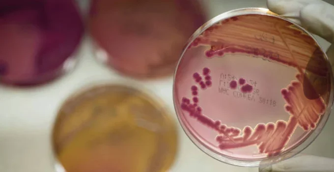 Cientistas descobrem vírus em esgoto do Reino Unido capaz de combater superbactérias Cientistas descobrem vírus em esgoto do Reino Unido capaz de combater superbactérias