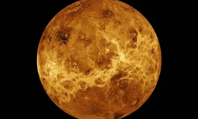 Canibalismo celestial: astrofísico propõe que Vênus engoliu sua própria lua