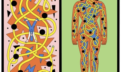 TDAH: Como os sintomas evoluem e se manifestam em diferentes fases da vida