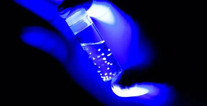 Cientistas criam camundongos com milhões de neurônios humanos para estudar doenças cerebrais