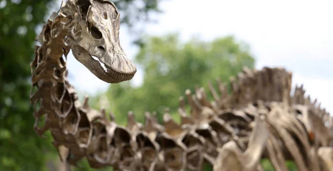 Primeiro dinossauro gigante inédito na Europa: Diplodocus é encontrado na Espanha