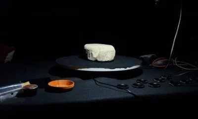 Artefato Romano Desgastado Revela Jogo de Tabuleiro Esquecido com Ajuda da Inteligência Artificial