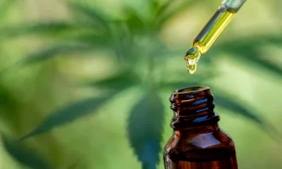 Cannabis Medicinal: A Desigualdade que Dificulta o Acesso nas Favela