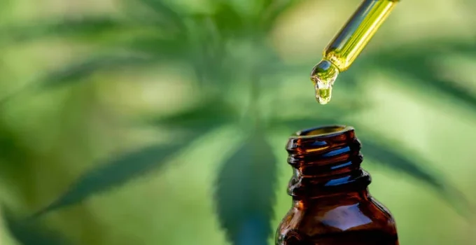 Cannabis Medicinal: A Desigualdade que Dificulta o Acesso nas Favela